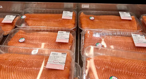 코스트코 Salmon 사다가 그냥 회로 먹어도 된다? 안된다? - San Fernando - 1