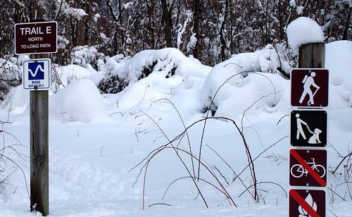When a Nor'easter Hits Palisades Park, Snow Accumulates in an Instant - Palisades Park - 1