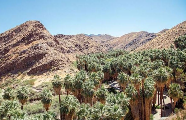 팜스프링스 공원· 인디언 캐니언스부터 산정 공원까지 - Palm Springs - 2
