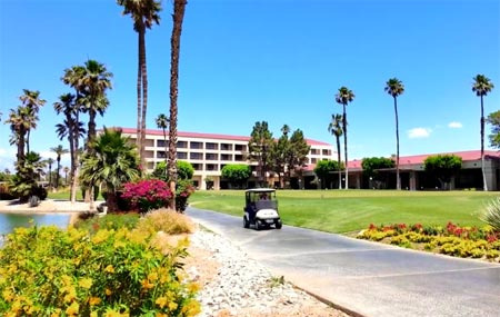 팜스프링스 날씨. 여름 107도 겨울 68도정도 입니다 - Palm Springs - 1