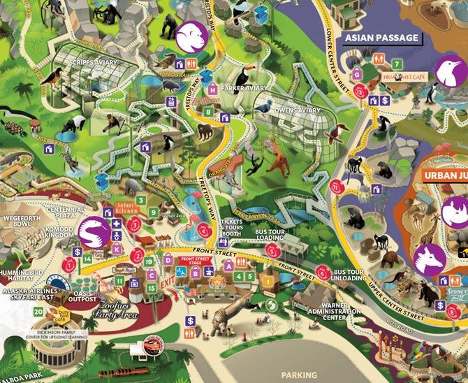 Late Review of San Diego Zoo Visit - San Diego - 2