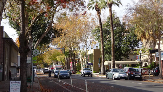 Sacramento에 살아보니, 솔직한 장단점 정리 - Sacramento - 2