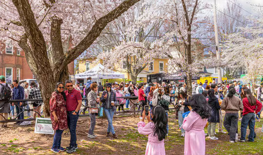 뉴헤이번 재산세와 예산 구조를 한번 풀어볼게요 - New Haven - 1