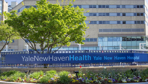 뉴헤이번 대표 병원, Yale New Haven Hospital - New Haven - 1
