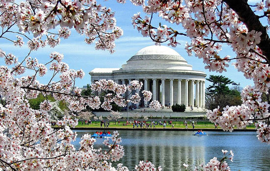 DC 축제 캘린더, 이건 미리 알고 있어야 합니다 - Washington - 1