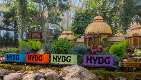 What are the famous tourist attractions to visit in the Bronx? - Bronx - 2
